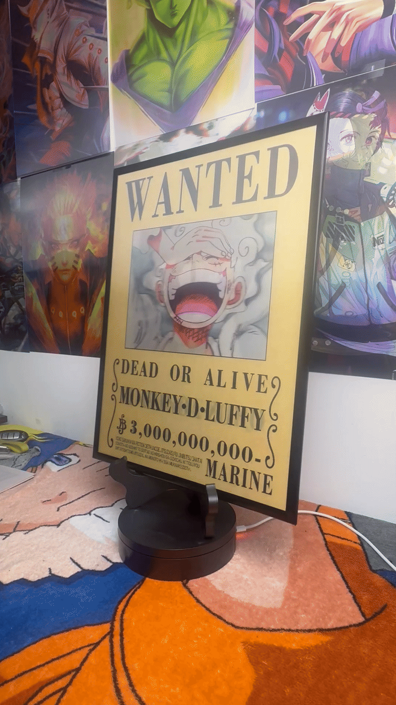 ONE PIECE | WANTED LUFFY, ZORO AND SANJI V5