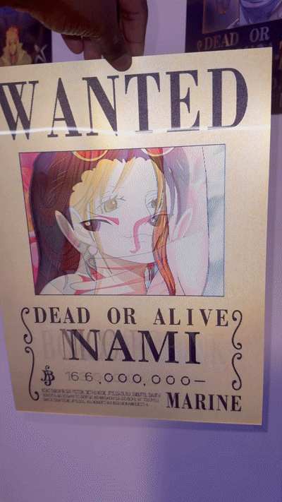 ONE PIECE | NAMI, NICO AND HANCOCK